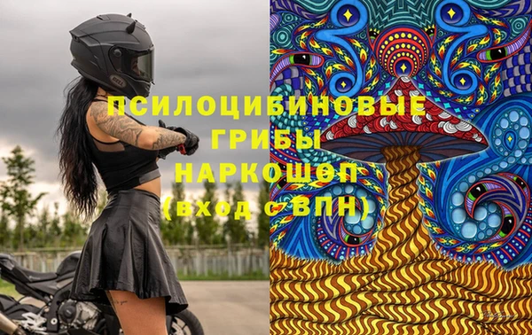 мдпв Алексин