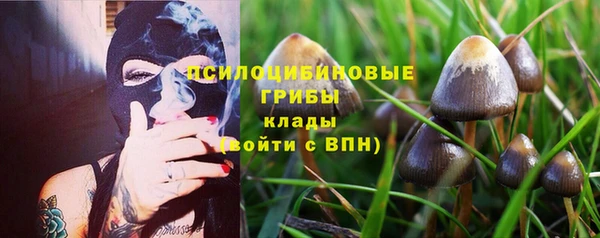 мет Алзамай